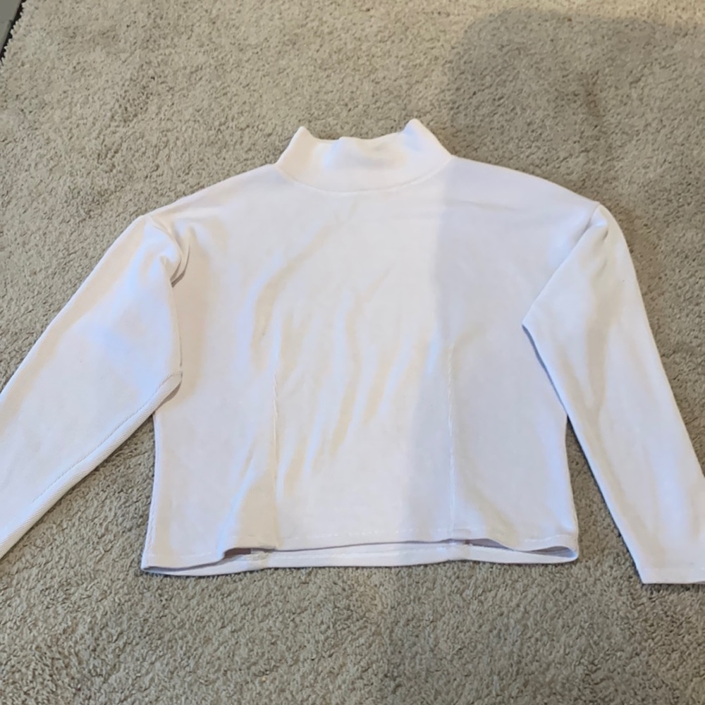 Express Turtle Neck Sweater